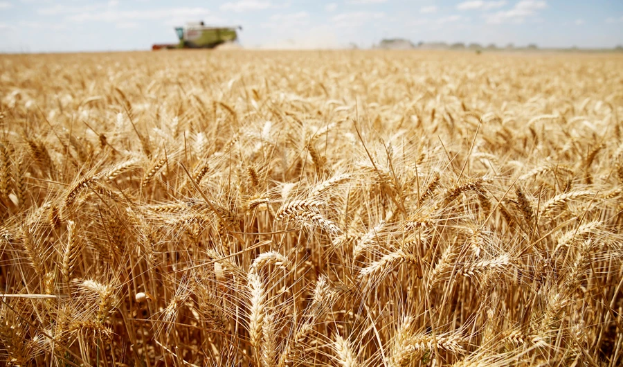 SAGO aims to market the products of the organization inside Saudi Arabia. (Reuters)