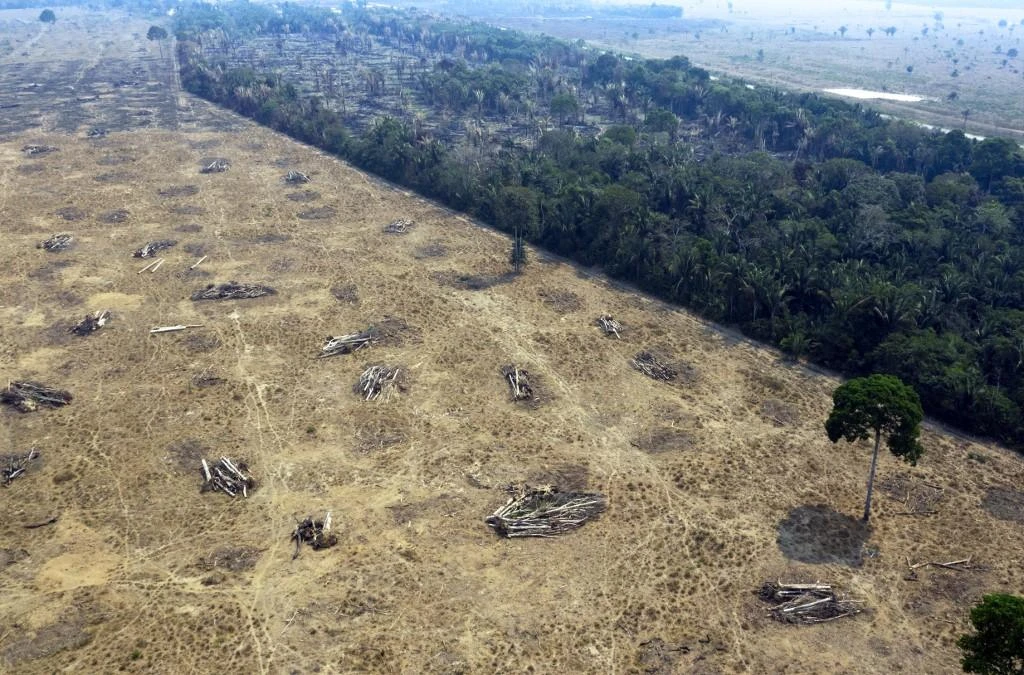 The fire swept across 950,000 hectares (2.3 million acres) of the Amazon fire. (File/AFP)
