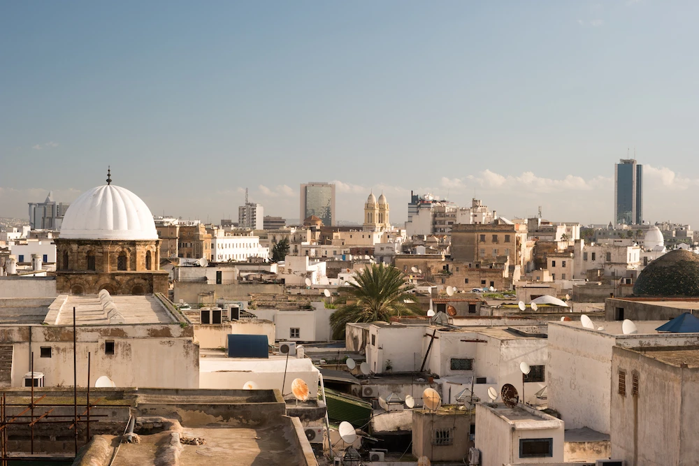 The money over 5 years is to support Tunisia's democratic transition. (Shutterstock)