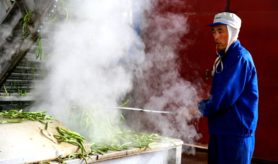 A worker in a factory which makes dried vegetables for export to the US, Britain, Japan, South Korea and other countries, in Zhangye in China's northwestern Gansu province. (AFP)