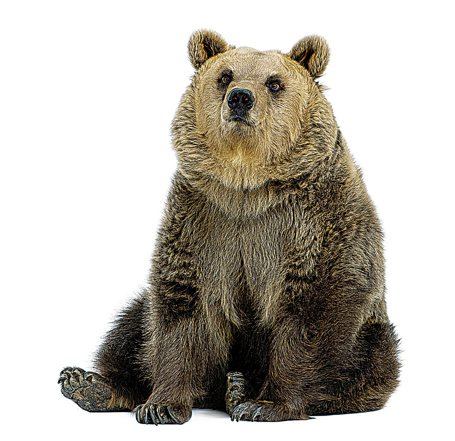 WEEKLY ENERGY RECAP: Tightening market confounds bears