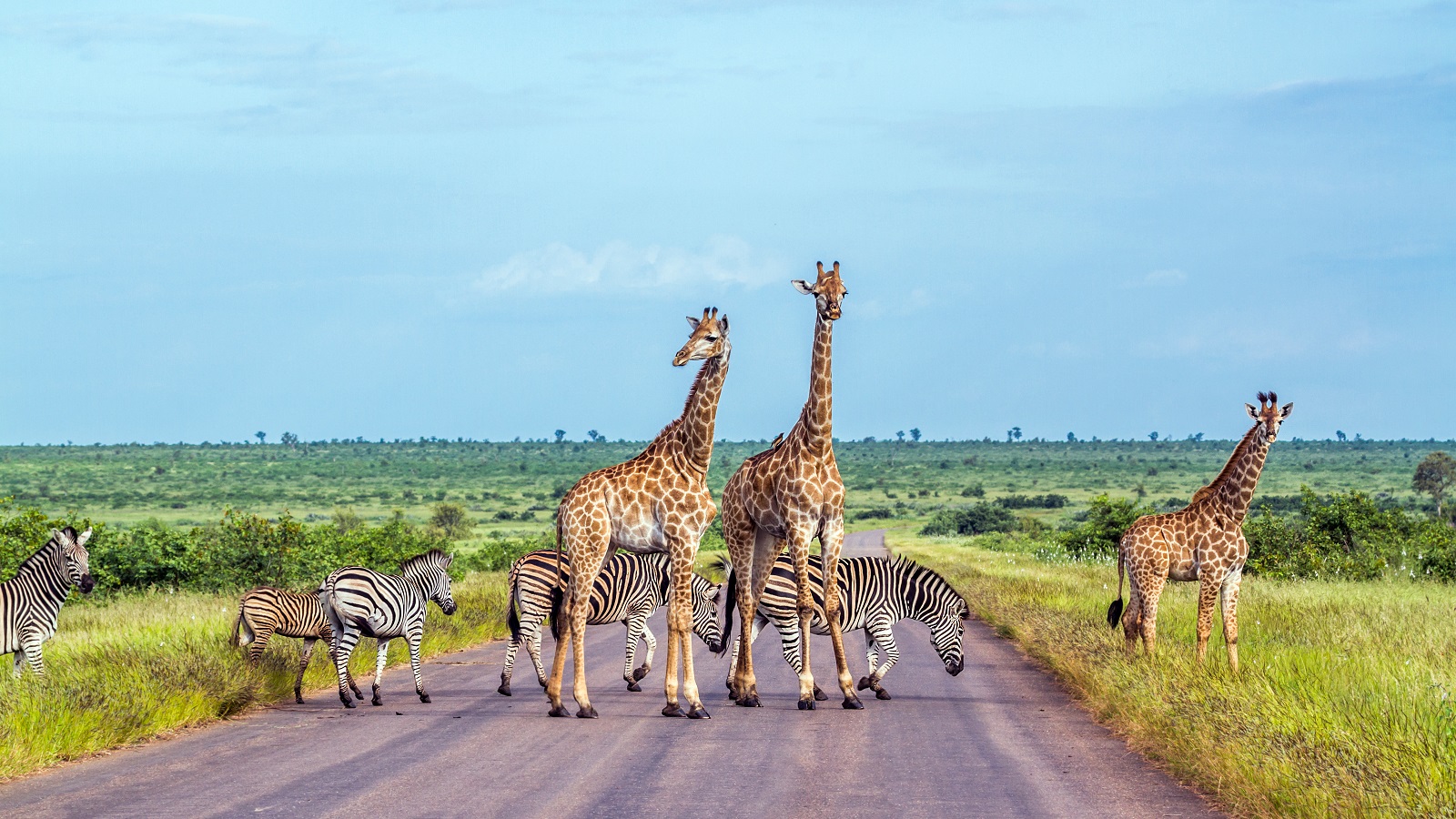 Explore South Africa