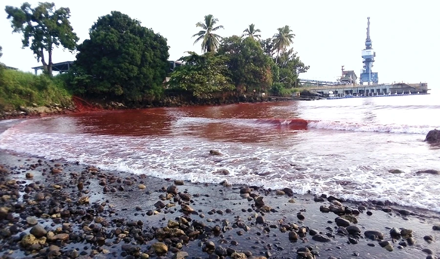 Waste from a nickel plant in Papua New Guinea is seen in the waters of the adjacent Basamuk Bay, in Indonesia’s Papua New Guinea. (Reuters)