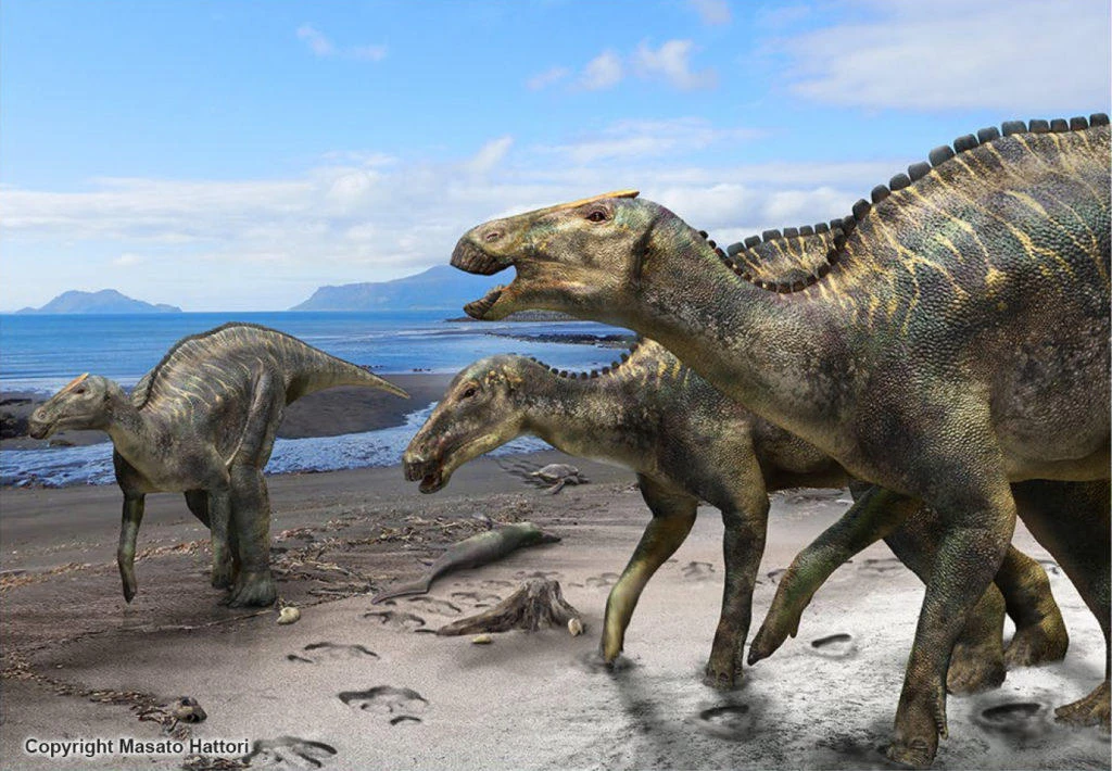Japanese scientists find new dinosaur species