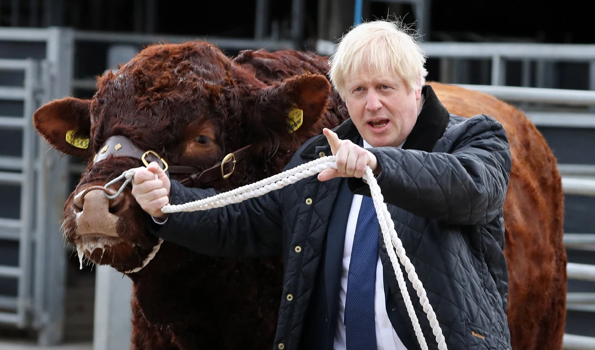 Boris Johnson has to walk a very fine line. (File/AFP)