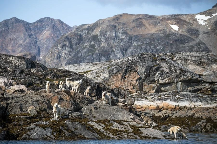 The report said that climate adaptation delivers a “triple dividend” by avoiding future losses. (File/AFP)
