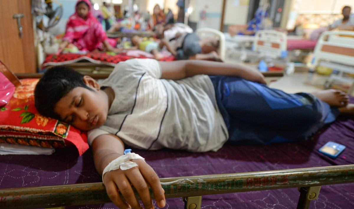 Bangladesh in all-out war against dengue