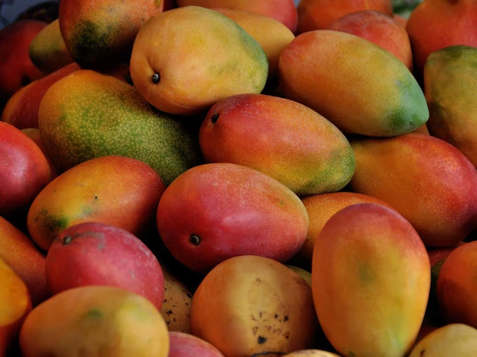 Worker who confessed to stealing two mangoes from luggage at Dubai airport goes on trial