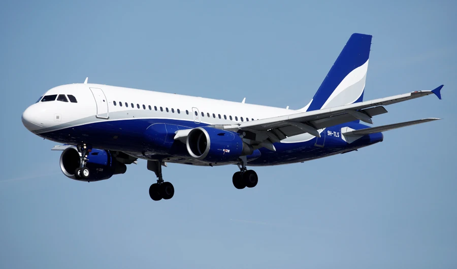 An Airbus A319-112 aircraft lands at Orly Airport near Paris, France, September 6, 2019. (REUTERS)