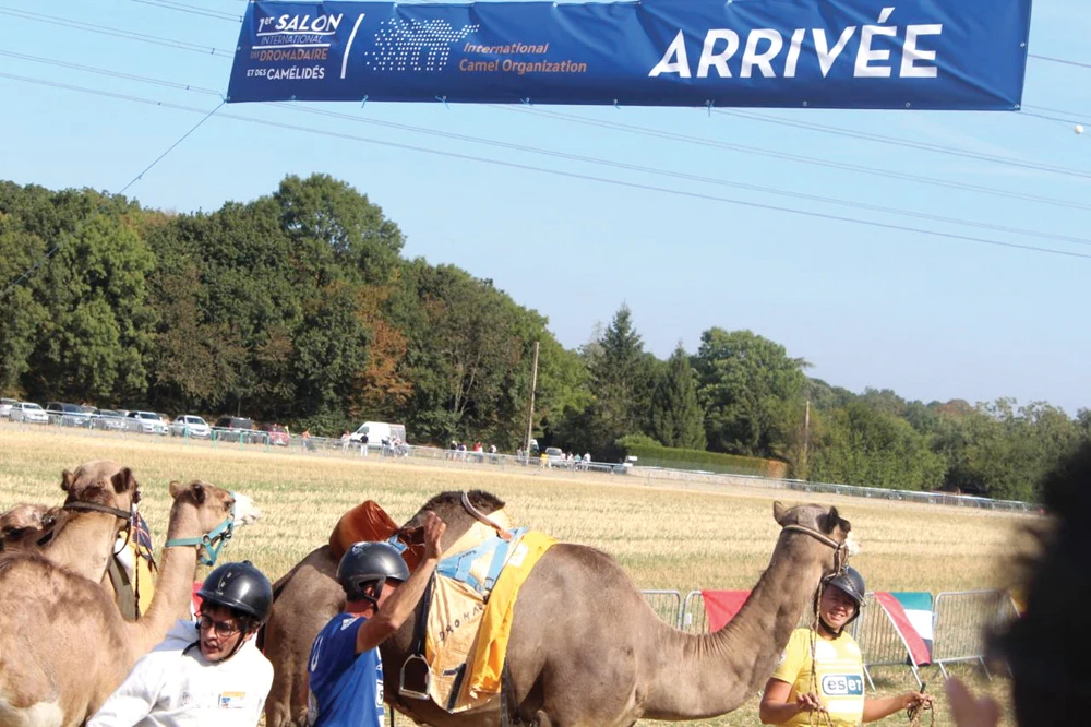 Camel race and shows cap Europe’s first International Festival for Camels