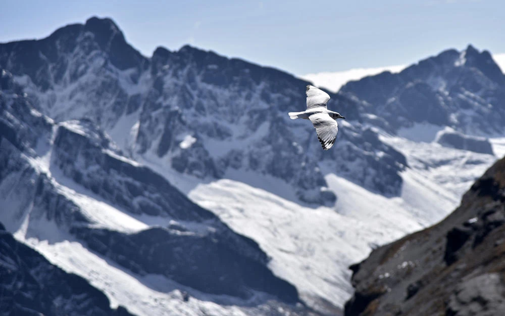 View of the Andes, which melting goes to the Incachaca dam, which supplies the city of water, in La Paz on September 12, 2019. (AFP / AIZAR RALDES)