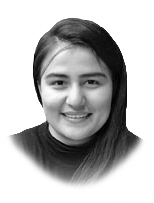 Afghan elections an important step on road to peace