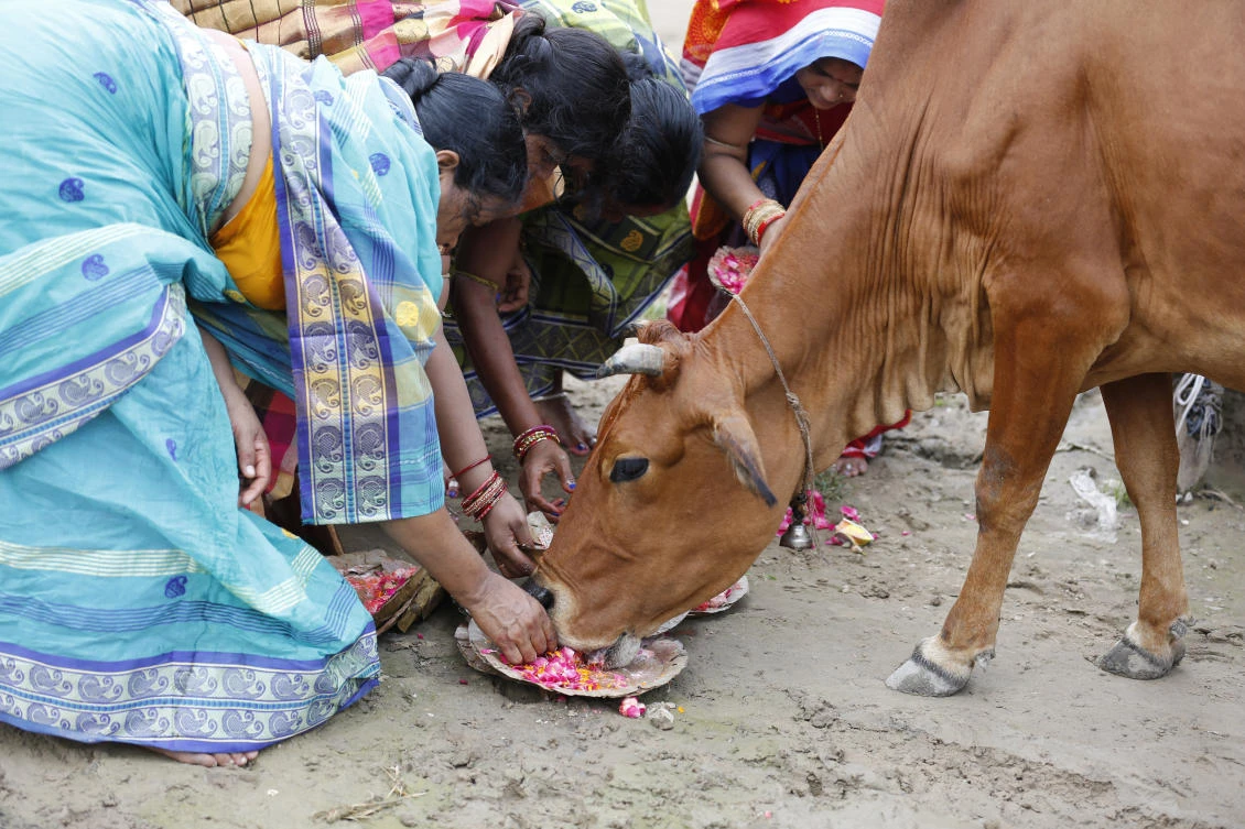 Man in India killed by mob after being accused of cow slaughter