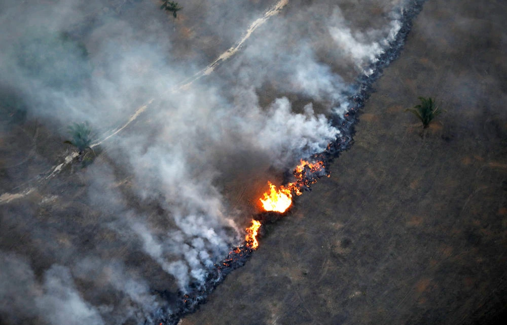 Brazil arrests 63, levies $8.7 million in fines over fires