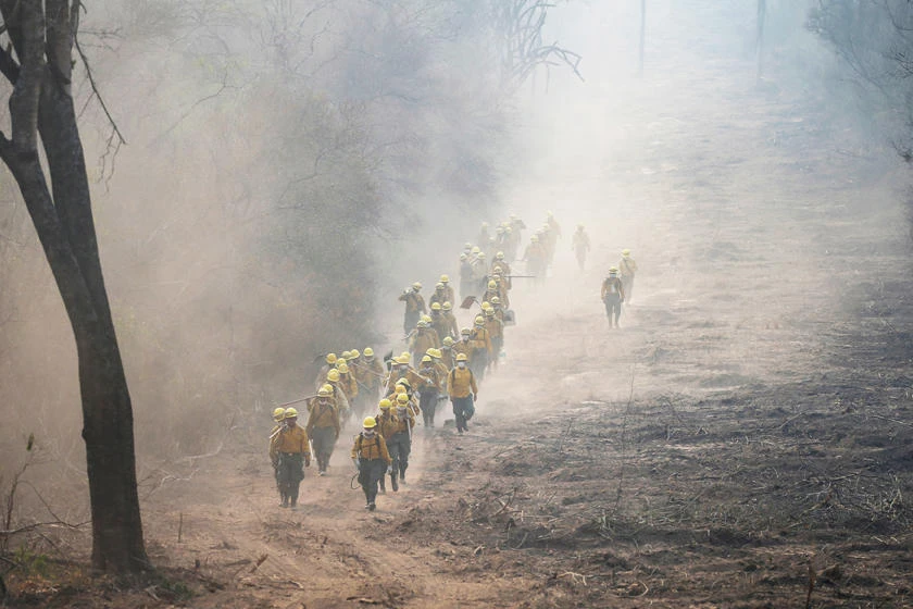Firefighters from Bolivia's army patrol an area where wildfires have destroyed hectares of forest at Rancho Grande village in Robore, Bolivia, September 24, 2019. (REUTERS/Edgard Garrido)