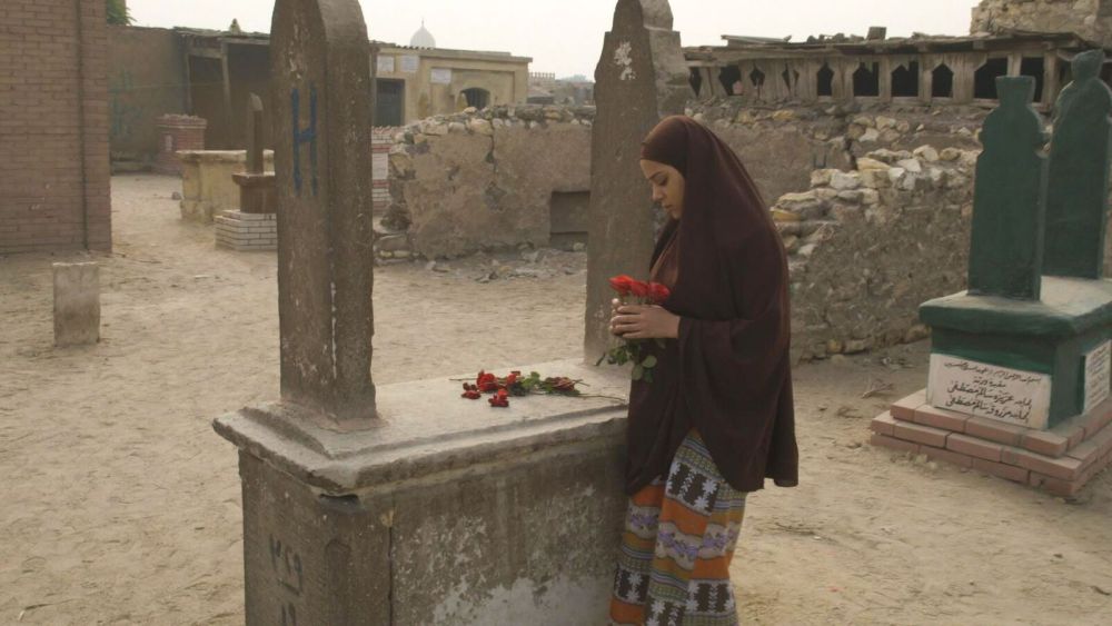 Egypt: ‘Poisonous Roses’
