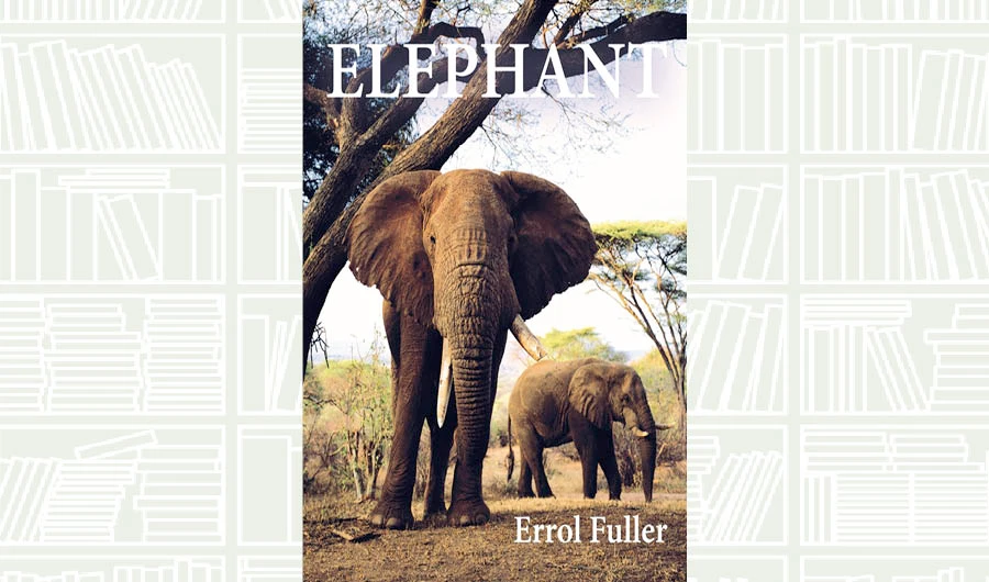 What We Are Reading Today: Elephant by Errol Fuller
