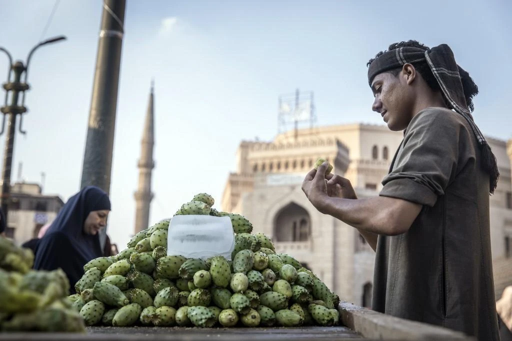 Egypt’s steady development has been achieved due to a period of sustained economic and political stability. (File/AFP)