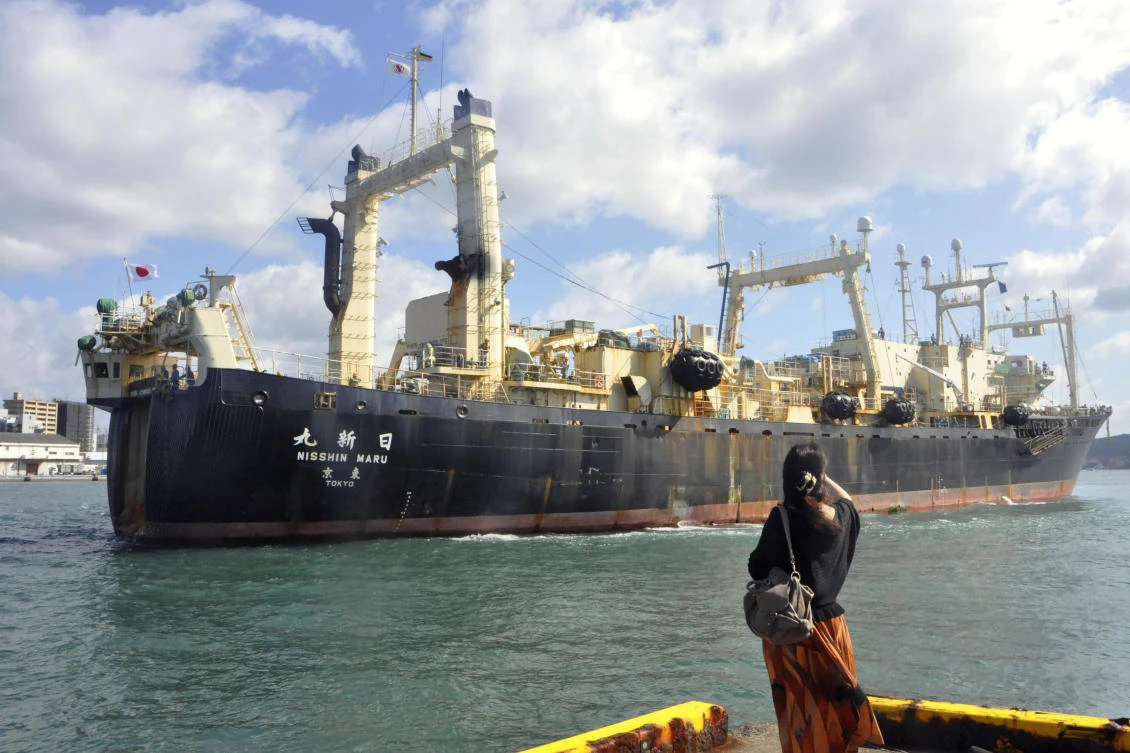 Japan whaling ship returns home after first commercial hunt