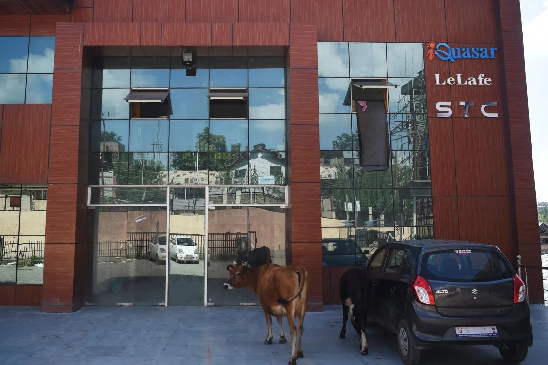 Cattle roam outside a closed building hosting the offices internet provider STC and other software companies in the Rangreth industrial estate in Srinagar in this August 18, 2019 file photo. (AFP)