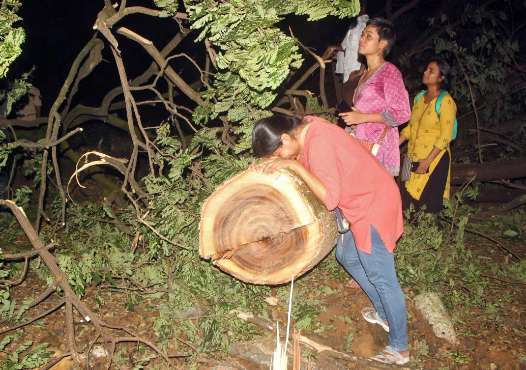 An activist touches a tree after it was cut down in the Aarey Colony suburb of Mumbai. (Reuters)