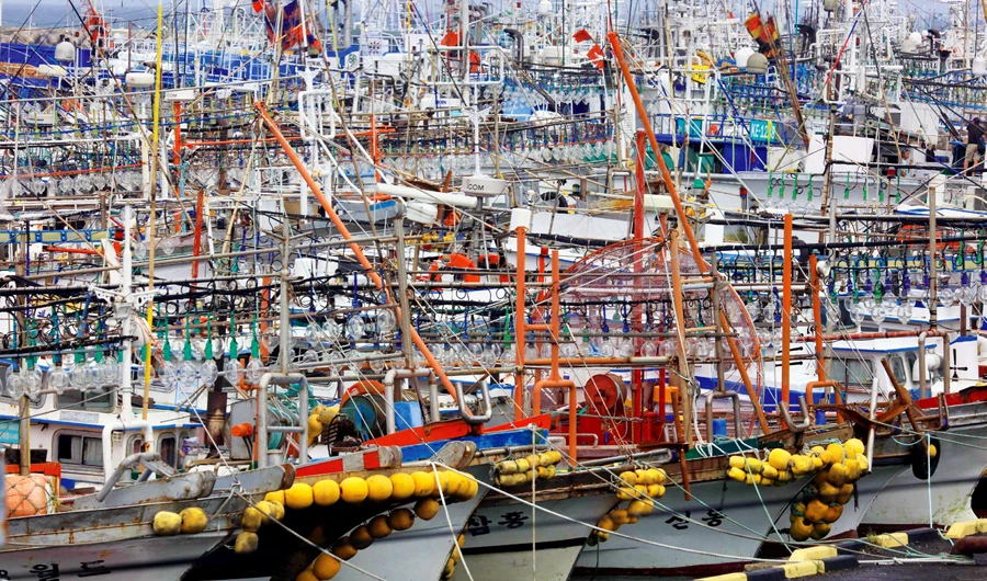 South Korea has bought 209,316 barrels of oil for the first eight months of this year. (AFP)