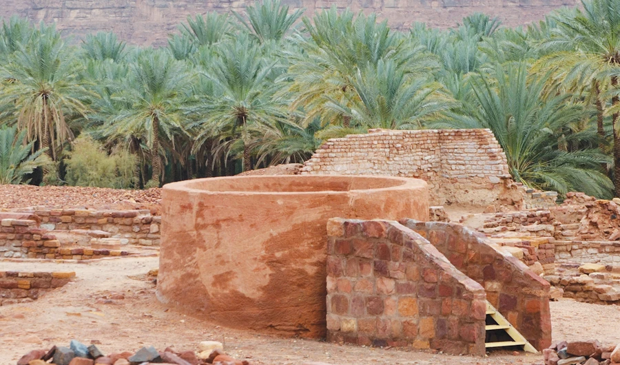 Photo/Saudi Tourism