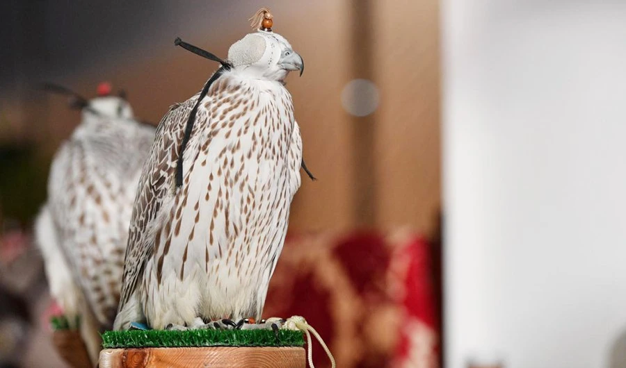 This year’s exhibition is marked by unique events. (SPA)