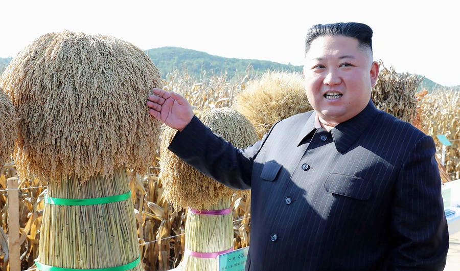 This undated picture released by North Korea's official Korean Central News Agency (KCNA) on October 9, 2019 shows North Korean leader Kim Jong Un inspecting Farm No. 1116 under Unit 810 of the Korean Peoples' Army, at an undisclosed location in the country. (AFP)