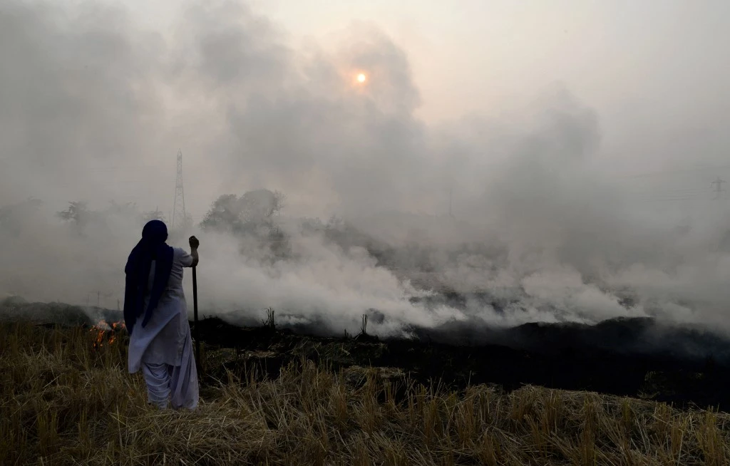 Indian farmer watches as stubble burns. (File/AFP)