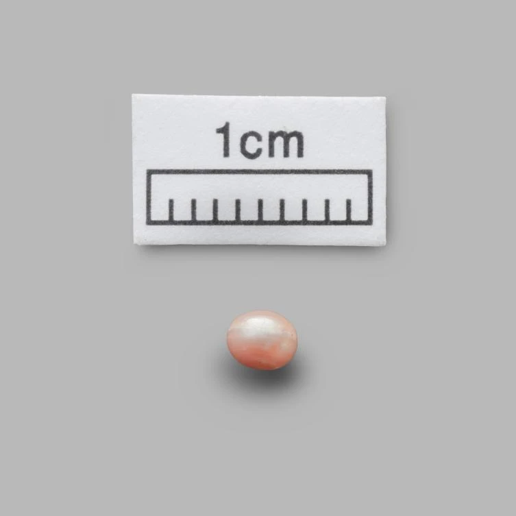 World’s oldest pearl found in Abu Dhabi