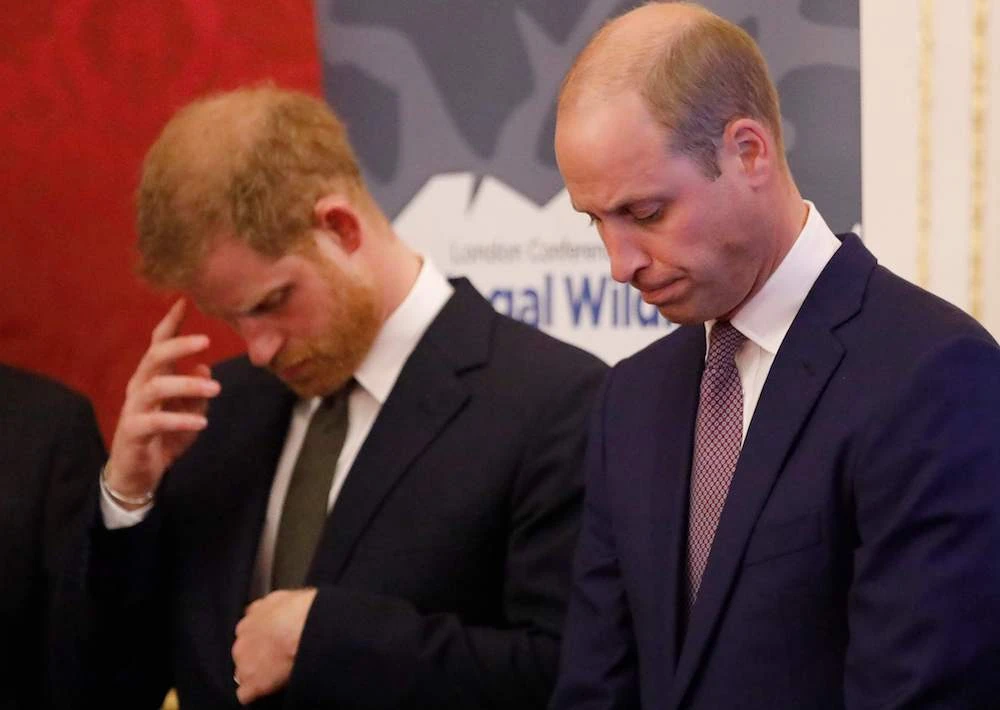 Prince Harry admits he and Prince William ‘on different paths’