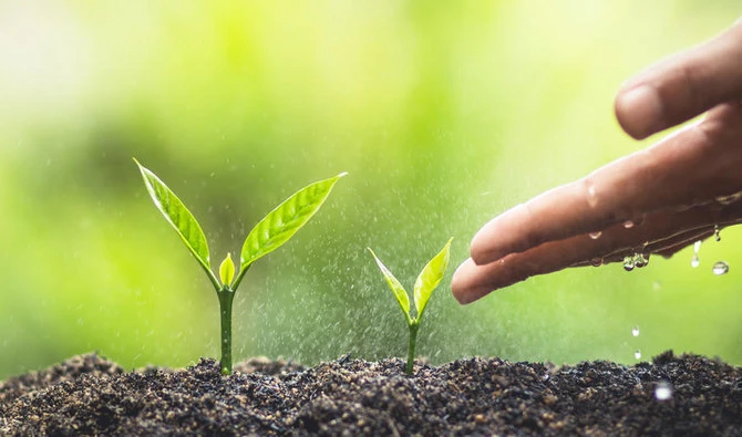 The Ministry of Environment, Water and Agriculture and the Saline Water Conversion Corp. signed a memorandum of understanding to plant 5 million local wild trees in Saudi Arabia by the end of 2030. (Shutterstock)
