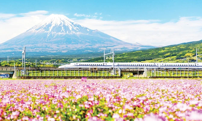 For most Arabs, Japan is where harmony meets industry