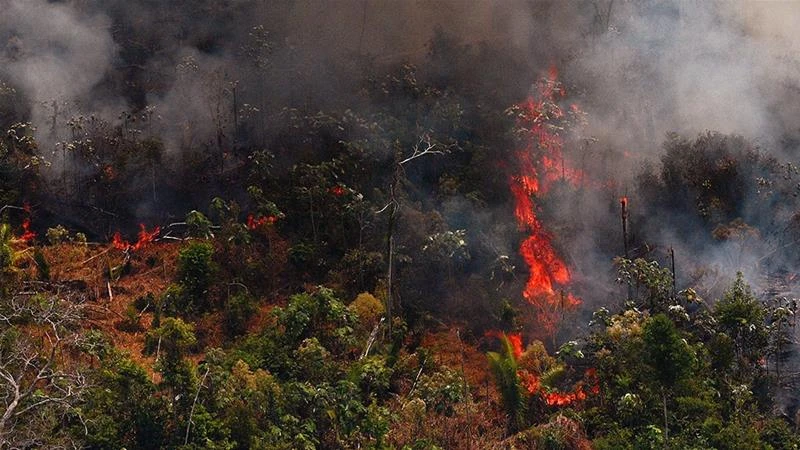Brazil president still insists forest fire reports hyped up