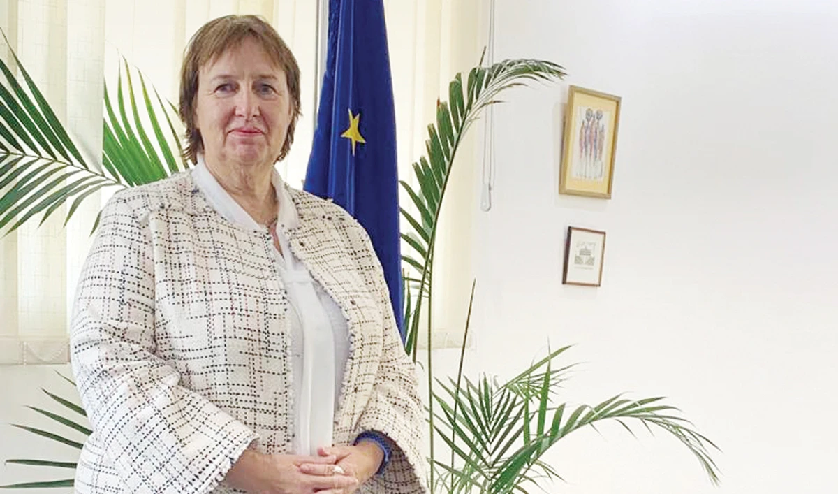 EU Mideast envoy: Two-state solution ‘only viable option’ to end Palestinian conflict with Israel