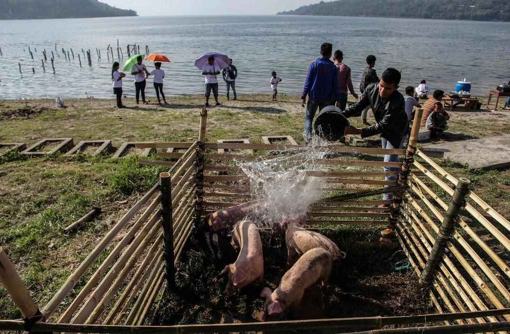 Indonesia’s halal tourism bid faces pig pushback
