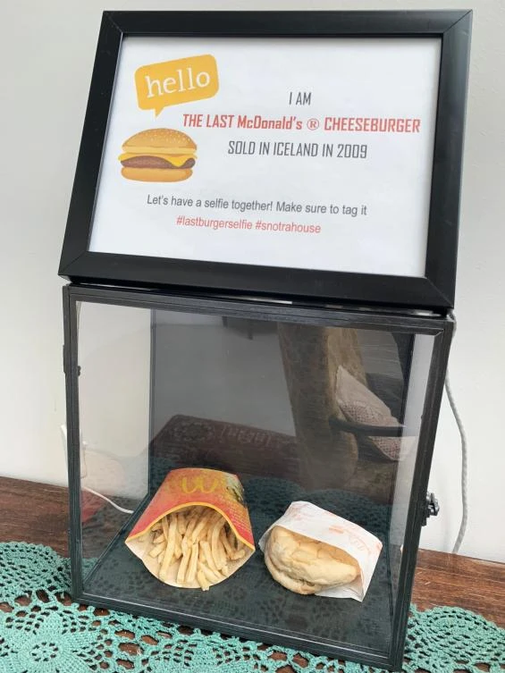 The chosen bun: Decade-old burger’s decay livestreamed in Iceland