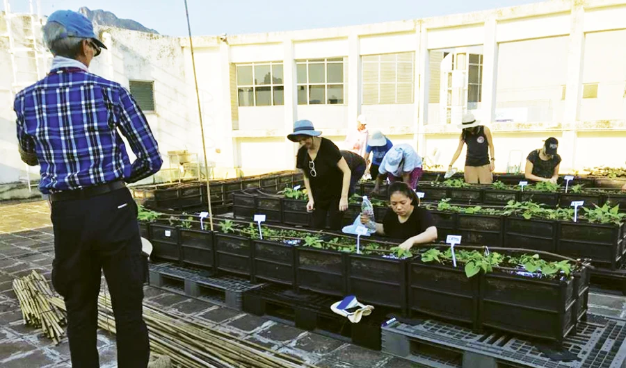 Students thin out their plants on a Kowloon Tong rooftop in Hong Kong. (Reuters)