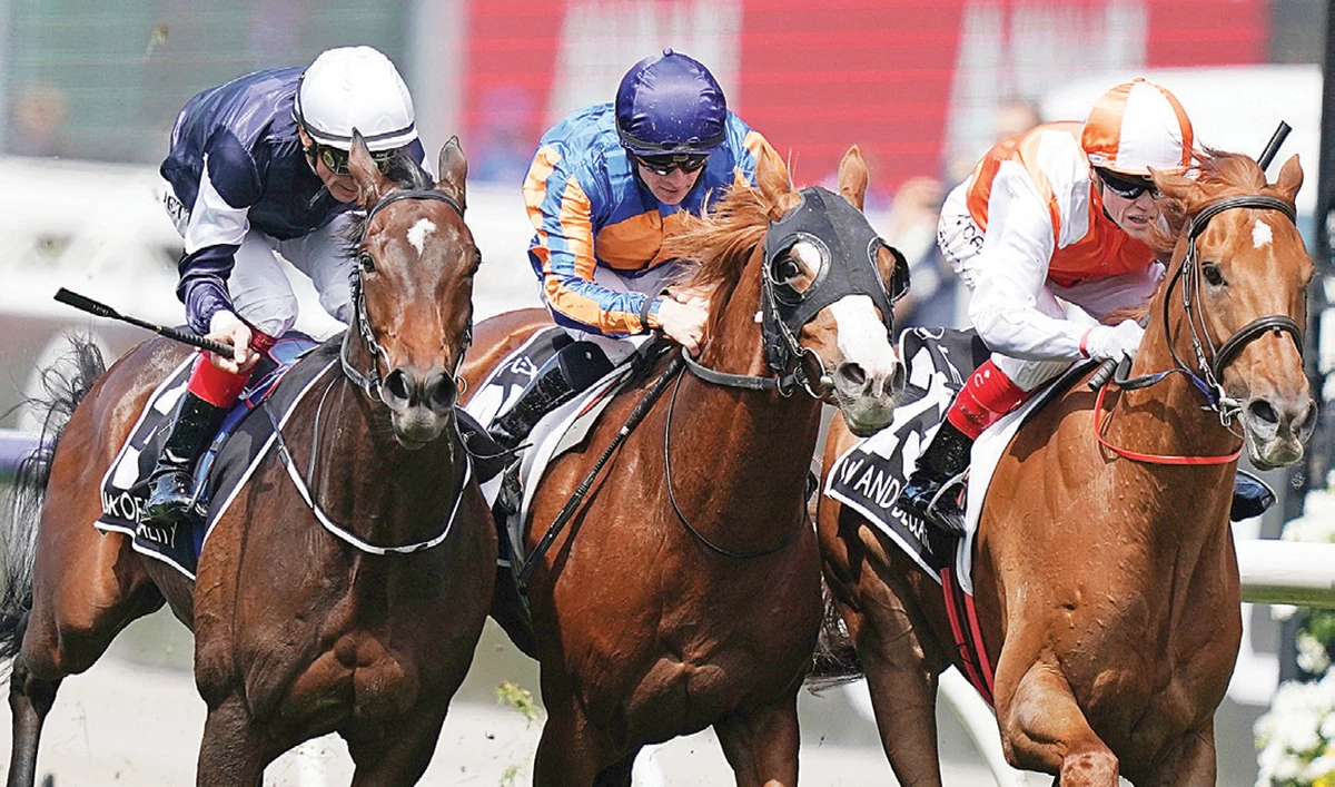 Vow and Declare wins Melbourne Cup