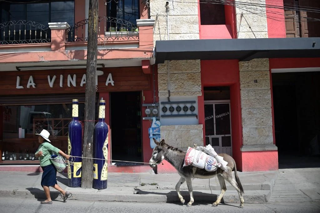 The violent events in Oaxaca, the majority linked to organized crime, have multiplied in recent years. (AFP)
