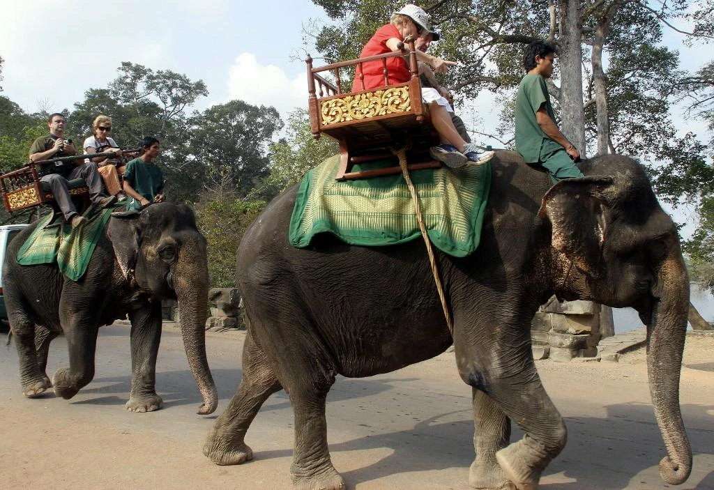 Cambodia to ban elephant rides at Angkor temples