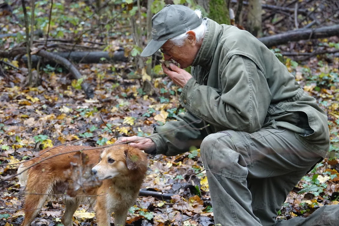 In this photo taken on Sunday, Nov. 10, 2019, Carlo Olivero smells a truffle taken from the earth in the woods near Alba Italy. (AP)