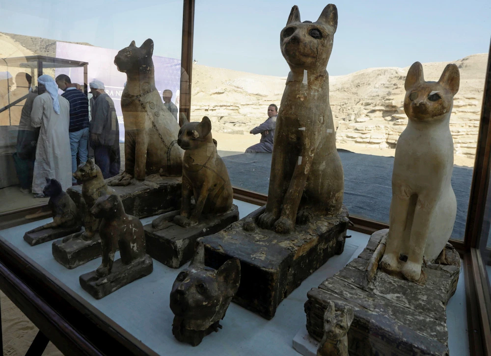 Egypt unveils animal mummies of lion cubs, crocodiles, birds