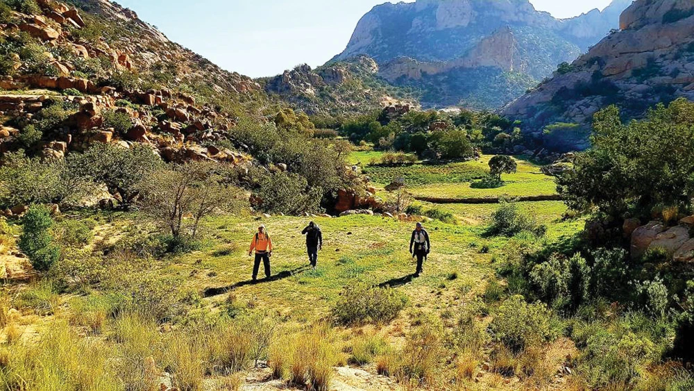 Hikers in Saudi Arabia can explore landscapes ranging from desolate wadis to lush, wildlife-filled valleys. (Supplied)