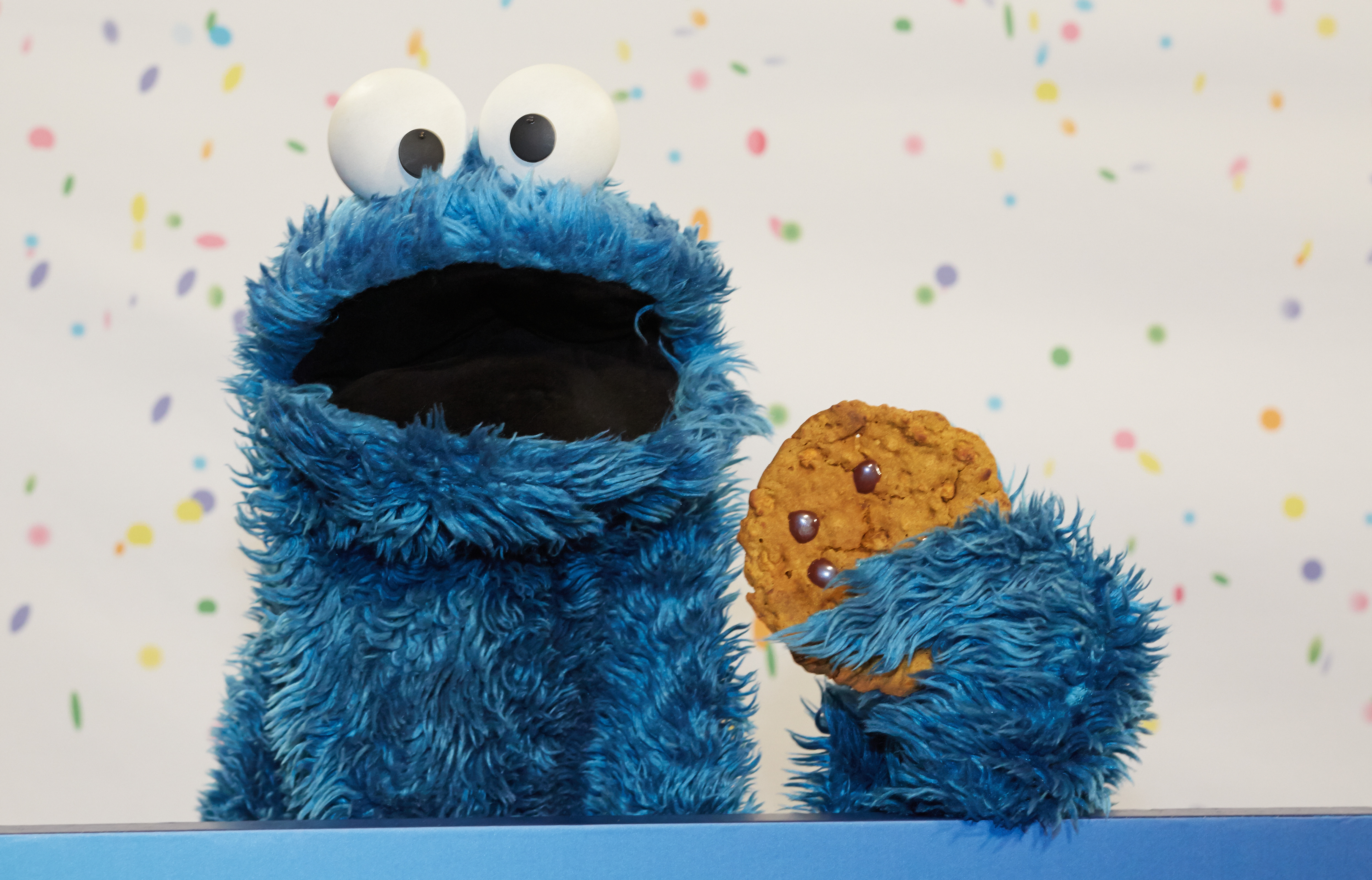 Cookie Monster/ Kaaky