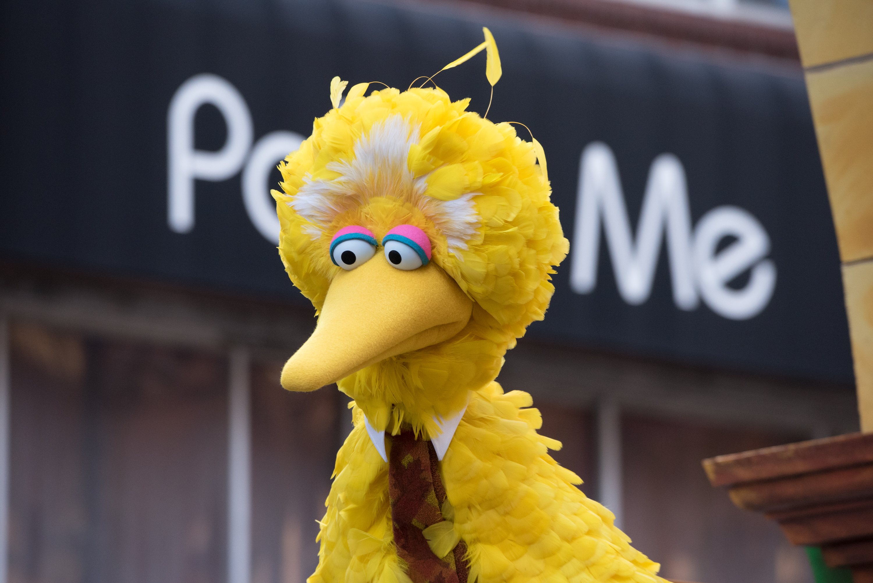 Big Bird/ Melsoon