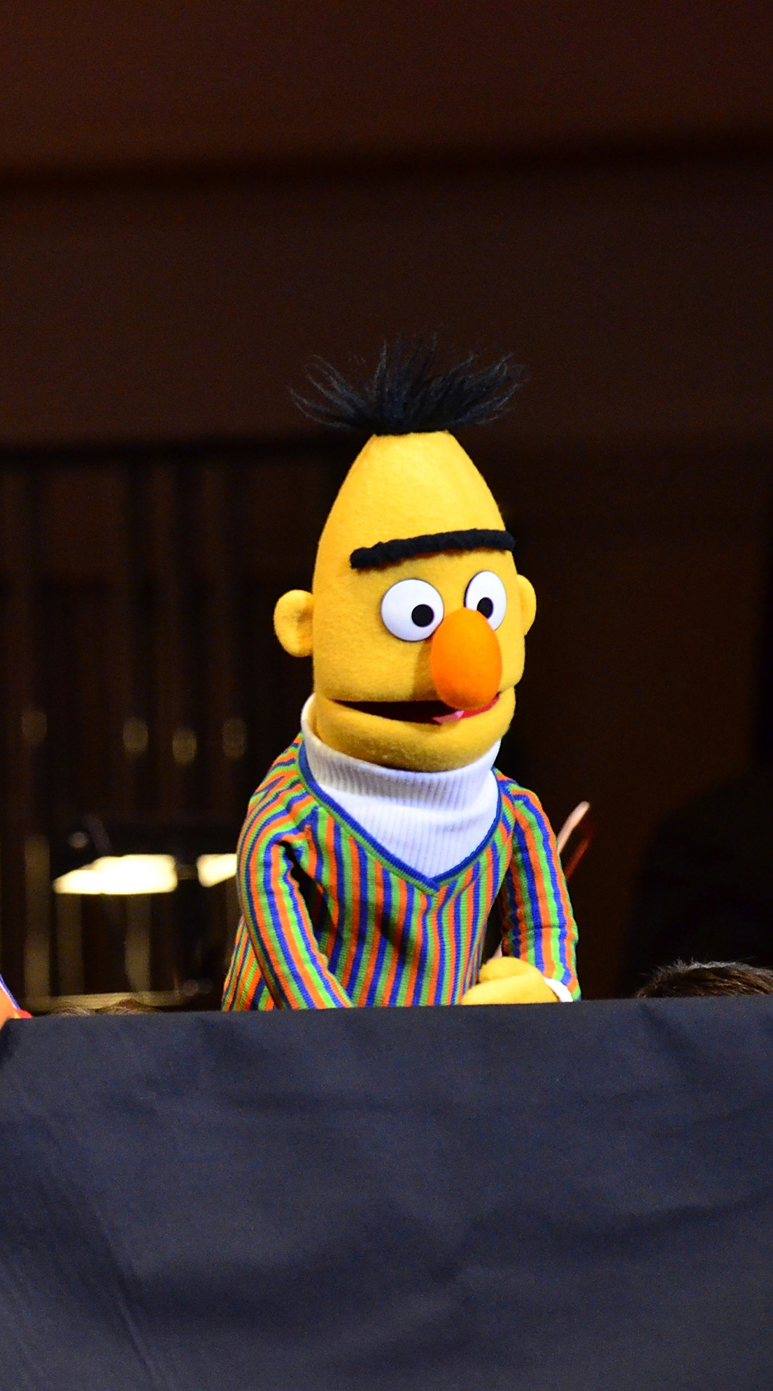 Bert and Ernie/ Badr and Anees