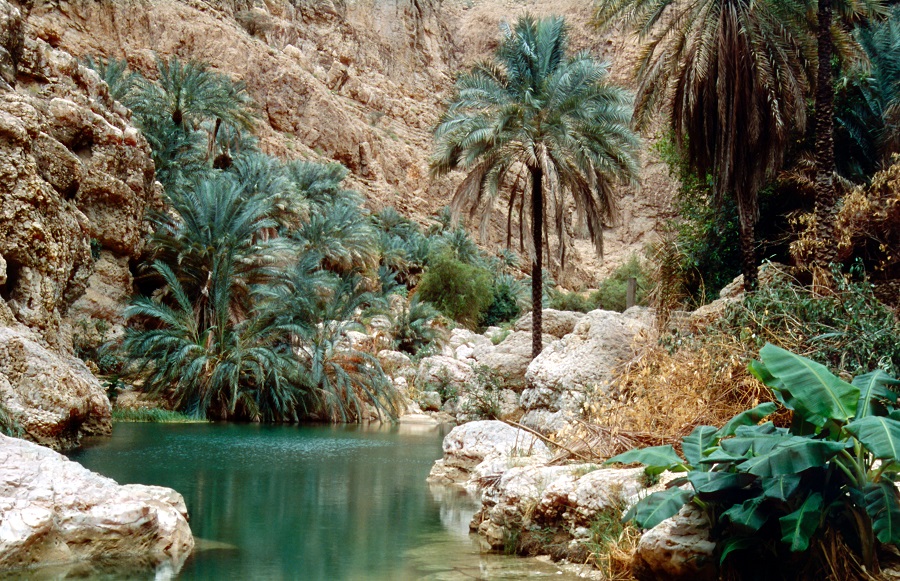 Hike around Wadi Shab