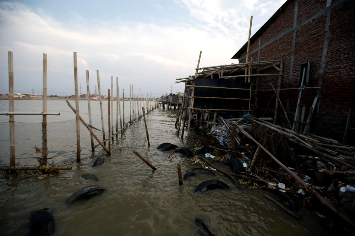 Bamboo sticks and nets are used as barriers at Tambakrejo village, which is affected by rising sea level and land subsidence, in Semarang, central Java in Indonesia. (Reuters)